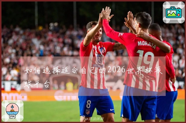 如何选择适合自己的2026世界杯滚球平台