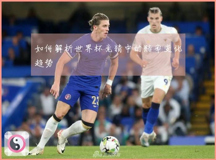 如何解析世界杯竞猜中的赔率变化趋势