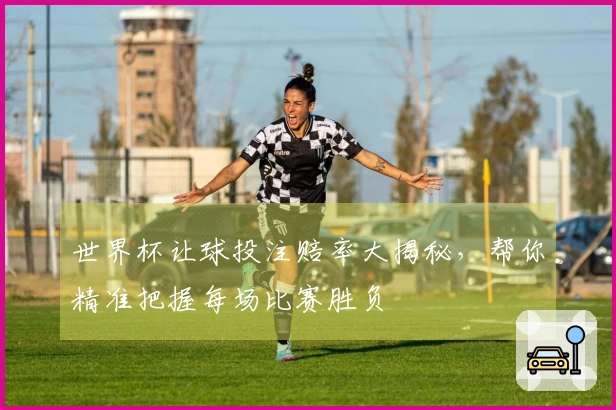 世界杯让球投注赔率大揭秘，帮你精准把握每场比赛胜负
