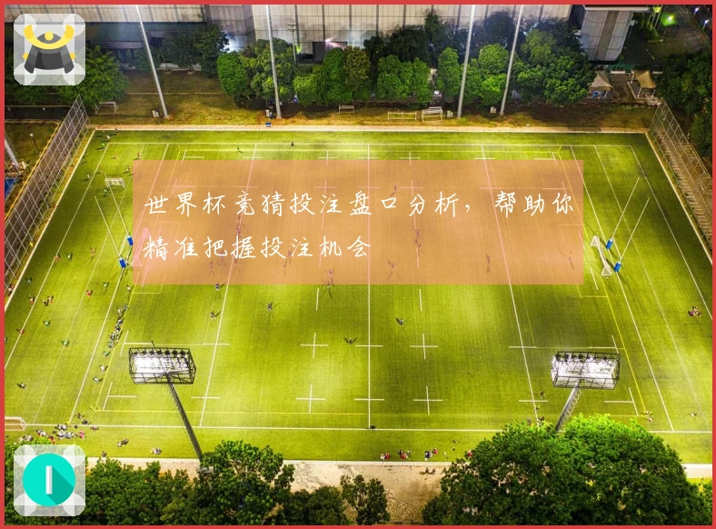 世界杯竞猜投注盘口分析，帮助你精准把握投注机会