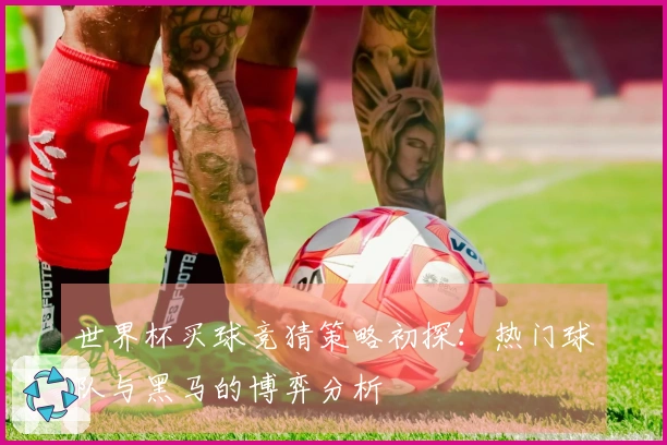 世界杯买球竞猜策略初探：热门球队与黑马的博弈分析