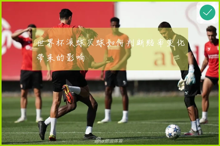 世界杯滚球买球如何判断赔率变化带来的影响