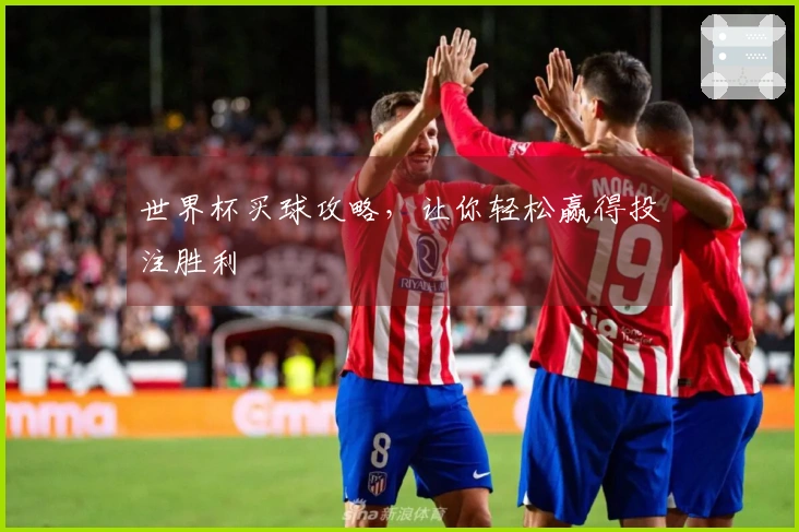 世界杯买球攻略，让你轻松赢得投注胜利