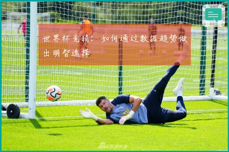 世界杯竞猜：如何通过数据趋势做出明智选择