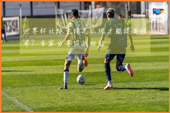 世界杯让球竞猜怎么玩才能提高胜率？专家分享实战经验