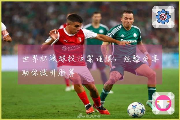 世界杯滚球投注需谨慎，经验分享助你提升胜算