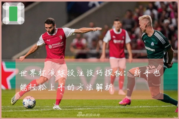 世界杯滚球投注技巧探秘：新手也能轻松上手的方法解析
