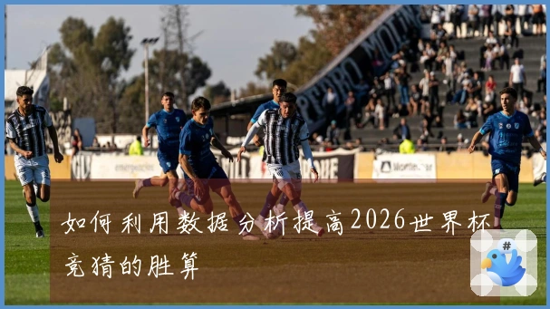 如何利用数据分析提高2026世界杯竞猜的胜算