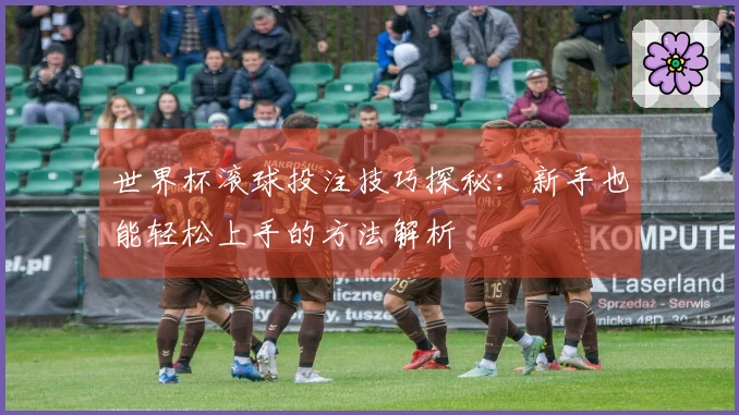 世界杯滚球投注技巧探秘：新手也能轻松上手的方法解析