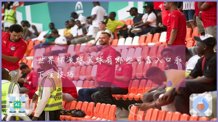 世界杯滚球买球有哪些可靠入口和下注技巧
