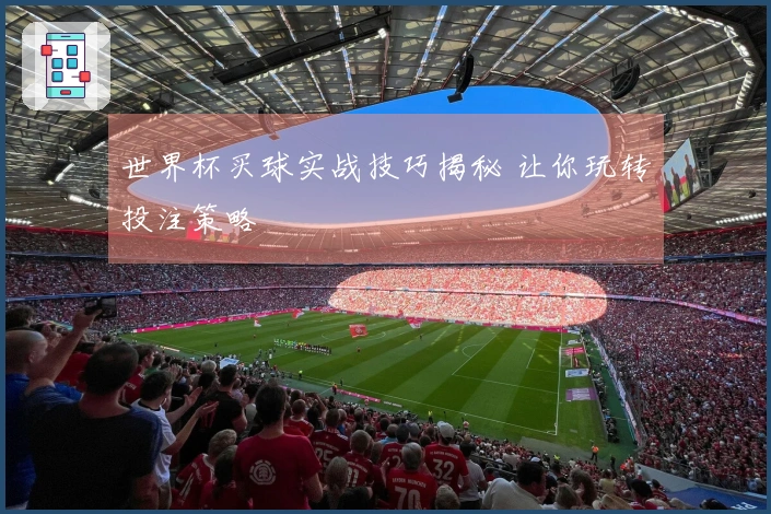 世界杯买球实战技巧揭秘 让你玩转投注策略