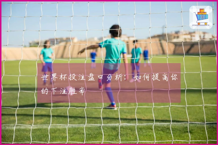 世界杯投注盘口分析：如何提高你的下注胜率