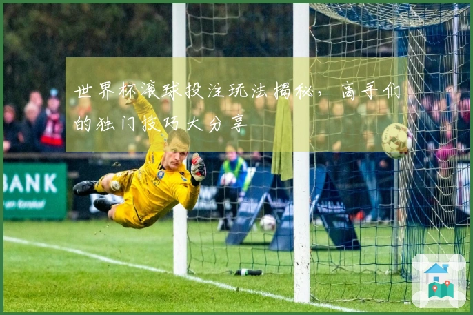 世界杯滚球投注玩法揭秘，高手们的独门技巧大分享