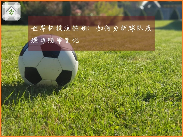 世界杯投注热潮：如何分析球队表现与赔率变化