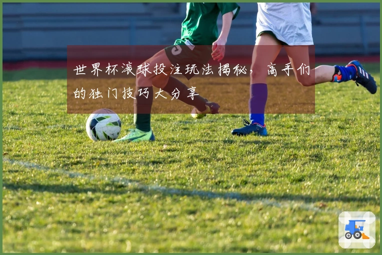 世界杯滚球投注玩法揭秘，高手们的独门技巧大分享
