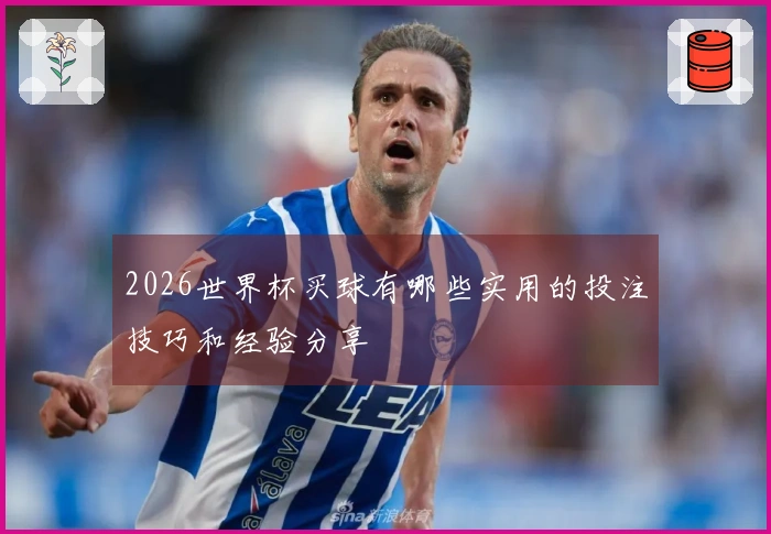 2026世界杯买球有哪些实用的投注技巧和经验分享