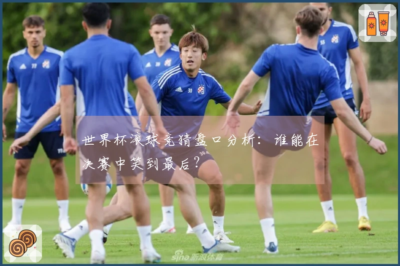 世界杯滚球竞猜盘口分析：谁能在决赛中笑到最后？
